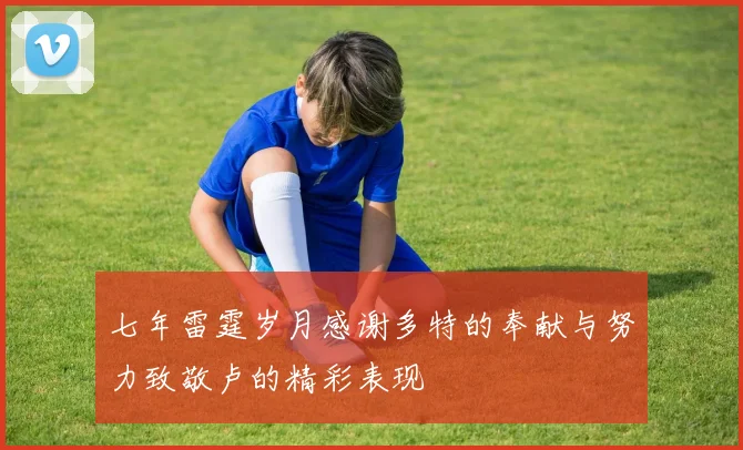 七年雷霆岁月感谢多特的奉献与努力致敬卢的精彩表现